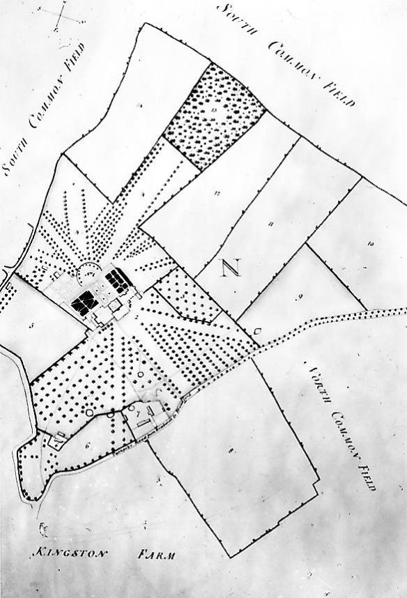 William Woodward's 1774 map showing a very different design. On this map north is bottom right. Note the 'crow's foot' design of vistas flanked by trees leading to the old line of the Wimborne, Blandford road. This survives as an earthwork but the road is now further north because the Bankes had it moved to extend their park.