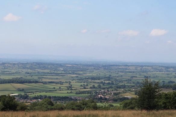 The Somerset Levels looking towards Glastonbury Tor from the Mendips above Ebbor Gorge