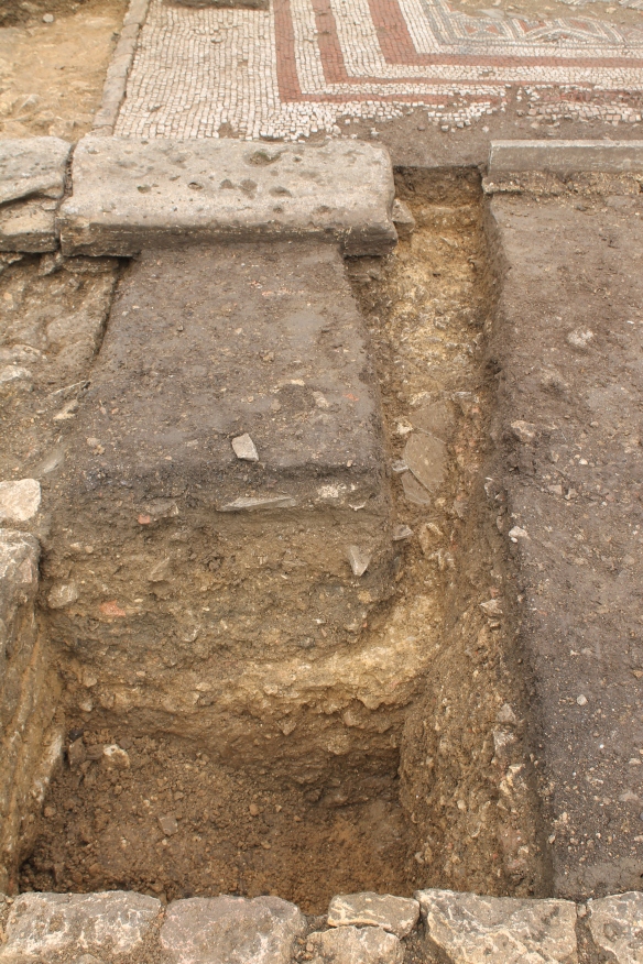 Rob's trench across our 'water feature' in 'e'. He extended his 1.2m square trench in its SW corner north towards the mosaic room wall. The big block of stone is part of the late Roman colonnade wall which is contemporary with the mosaic. It runs over an earlier wall line which you can see at the end of the trench on the right hand side of the stone.   Rob's extension picked up an uneven mortar floor which sloped down towards the square trench and has blue lias stone slabs broken onto its surface. The filling of the square trench had all been Victorian backfill but by cleaning the north trench wall back the Roman mortar surface could be seen overlying a compacted clay layer.  So there was a Roman platform of clay and mortar extending into the walled 'water feature' Had the Victorians dug through it or was the south side meant to be deeper. Over 1.0m deep from the wall top to the stone and mortar base. 