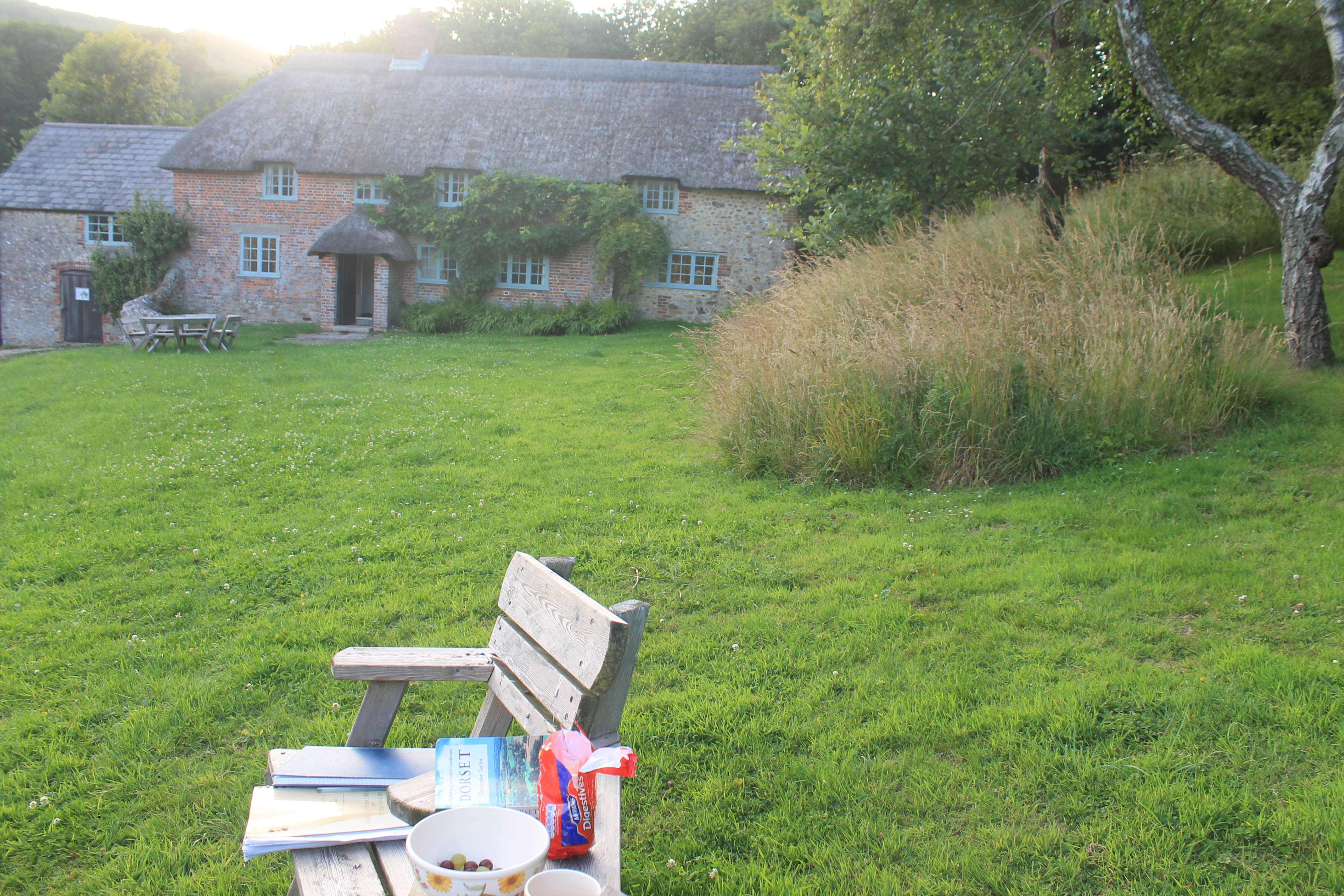 The garden seat at Shedbush Farm, Golden Cap Estate. Time to analyse the evidence and tell the story of the site.